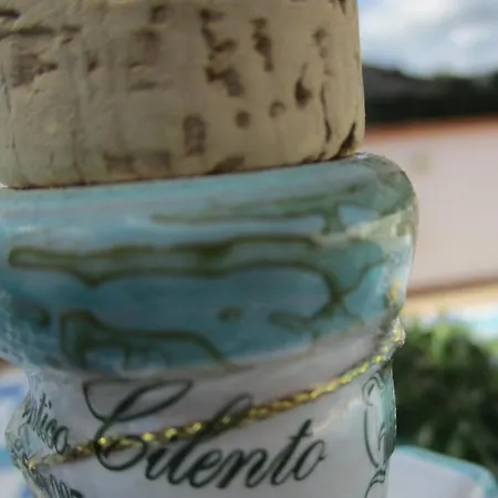L'incanto Del Cilento * Montecorice